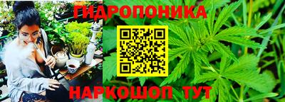 крисы Кумертау