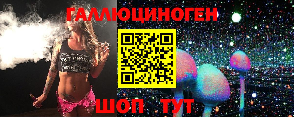 Галлюциногенные грибы Cubensis Звенигород